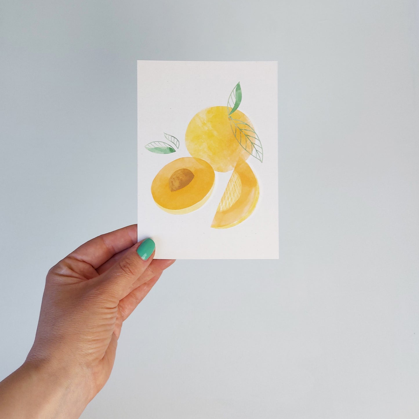 Ansichtkaart Abrikoos Illustratie – Pasteltinten Kunstkaart voor Cadeau & Interieur