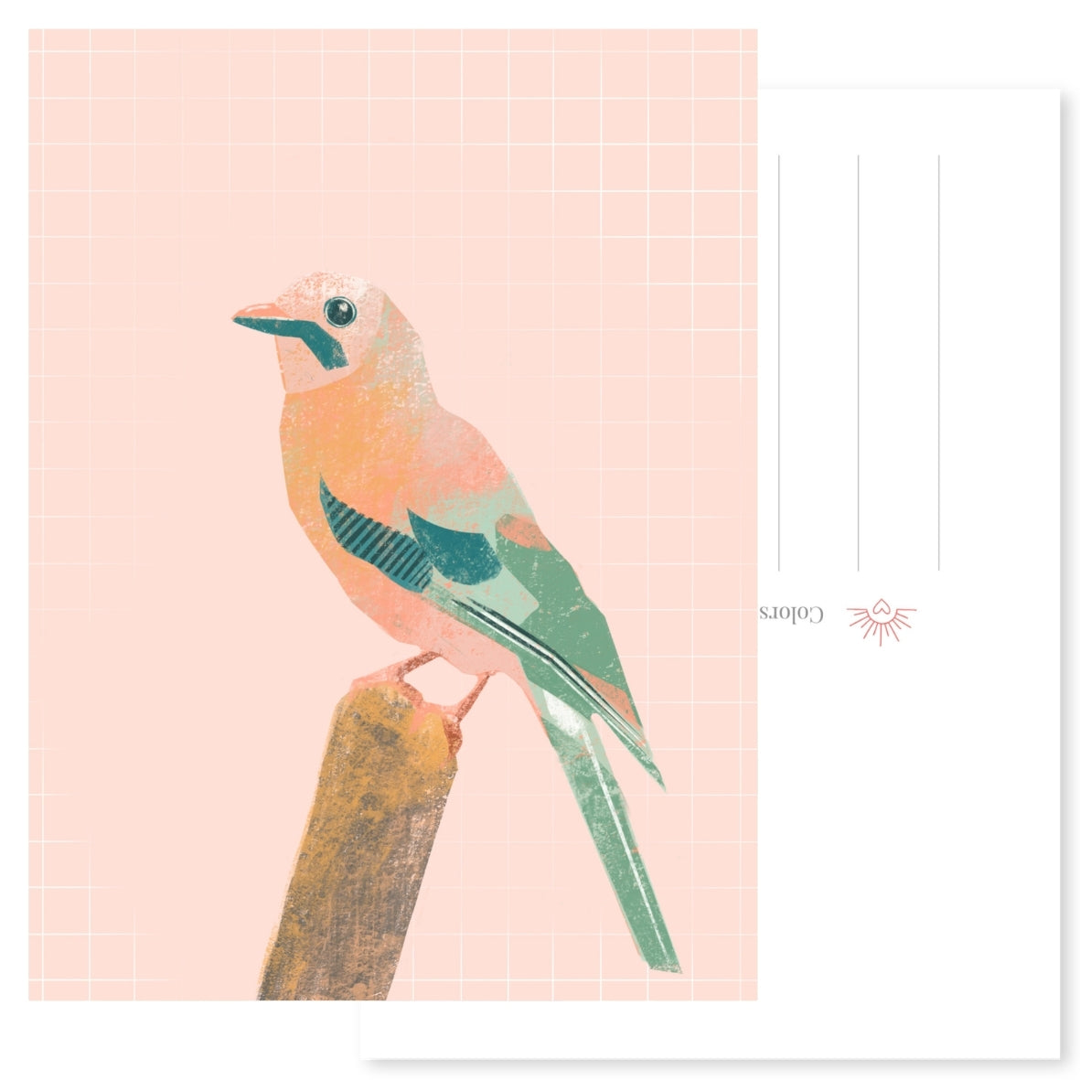 Ansichtkaart Vlaamse Gaai | Vogel Illustratie | Natuurlijke Kunstkaart