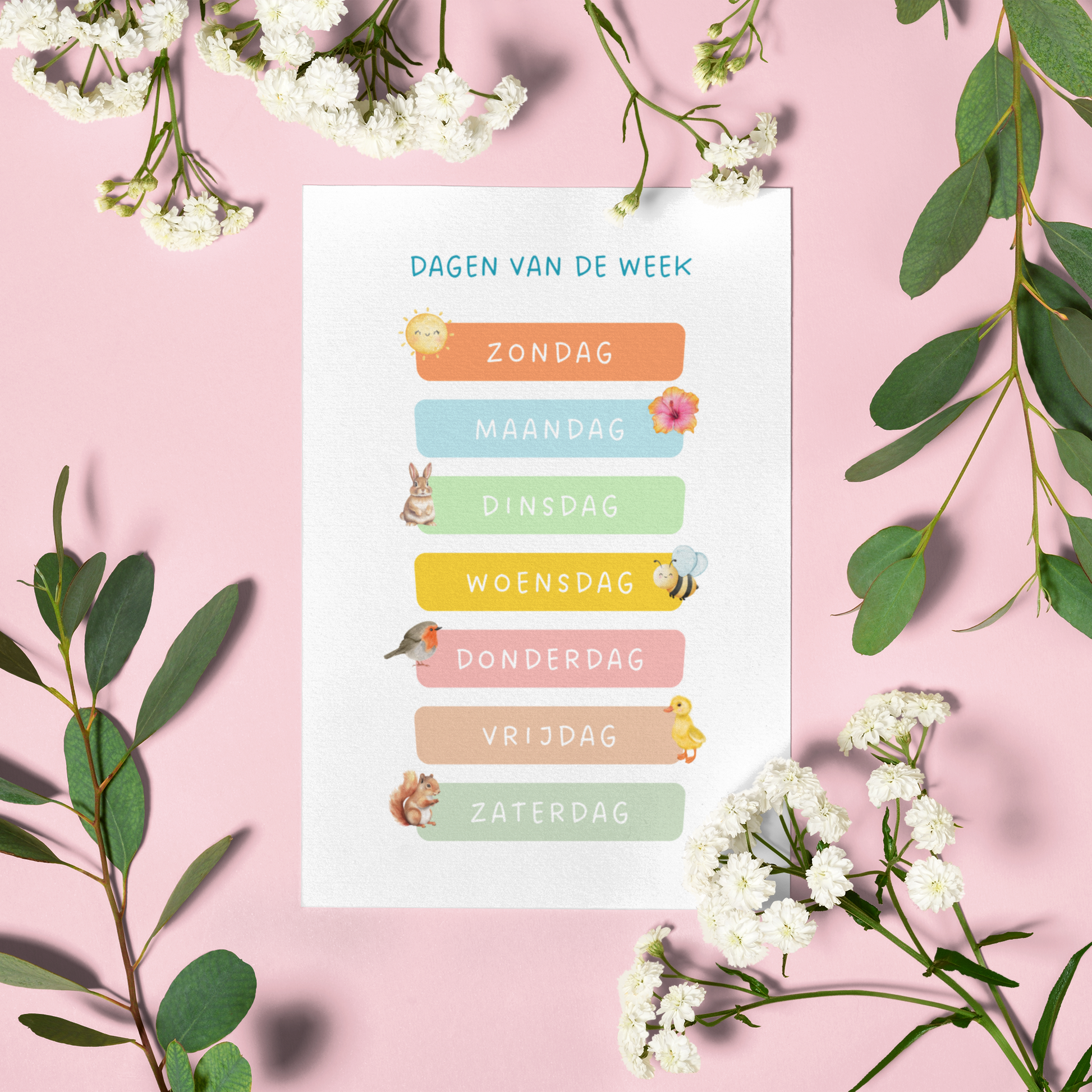 Educatieve flashcard dagen voor kinderen digitale download met illustratie